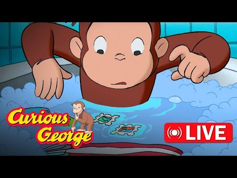 🔴 LIVE! Curious George Full Episodes | George Floods the Building + More!