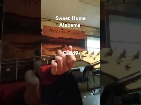 Sweet Home Alabama - Quick Riff (Chords, too!)  #guitar #riff #cover #skynyrd