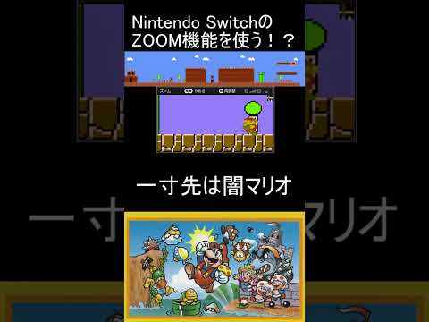 8-3 一寸先は闇マリオ Nintendo SwitchのZOOM機能を使う！？ ZOOM MARIO