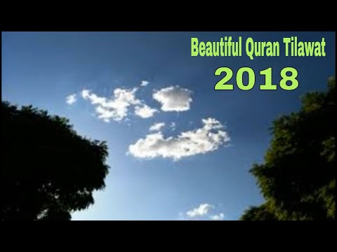 Hafez Jalal recitation quran l NEW l Really Beautiful amazing voice recitation