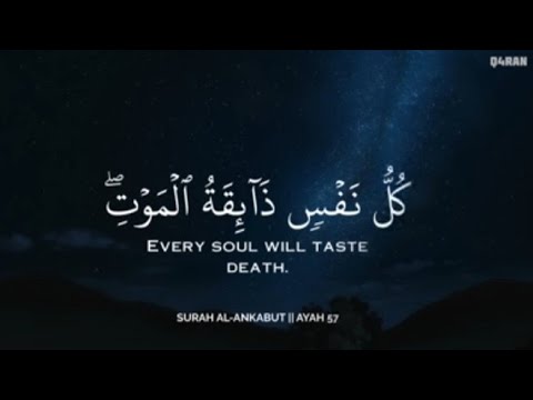 أرح سمعك وقلبك بالقرآن💚🎧 وأستمع لتلاوة هادئه القارىاسلامصبحى| راحة نفسية😌 | Zikrullah TV