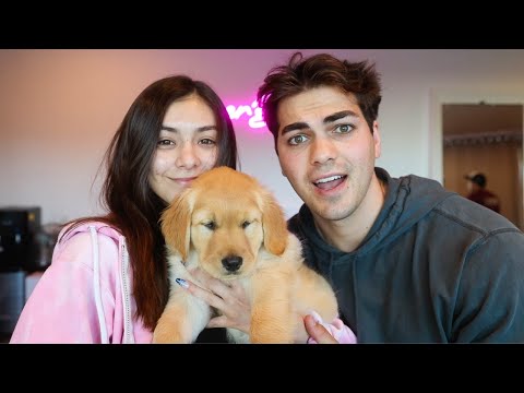 Surprising Mia With Dream Dog!!