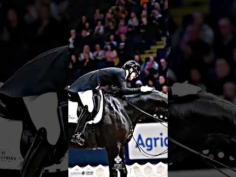 My edit for the comp! ​⁠​⁠​⁠@flower21895 #viral #edit #equestrian