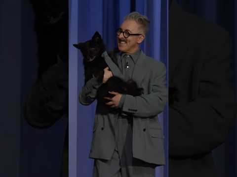 #AlanCumming and his dog Lala know how to make an entrance! #FallonTonight #TheTraitorsUS