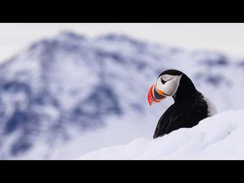 Get it Right in CAMERA! Capturing my BEST Photos in Iceland EVER!