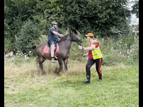 My Horse Bolts Off When Ridden!! Can You Help Me??