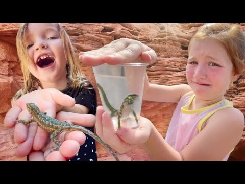 Niko & Adley catch a PET LiZARD!! Exploring for animals with Dad! baby bunnies, ants, and dino bones