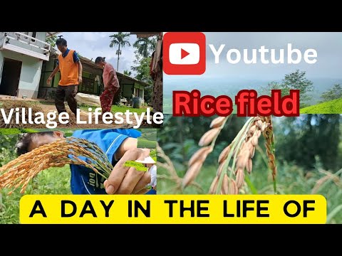 Naga Village Lifestyle