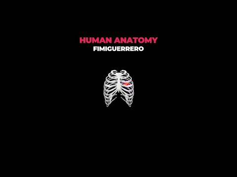 Fimiguerrero - Human Anatomy (Full Album)