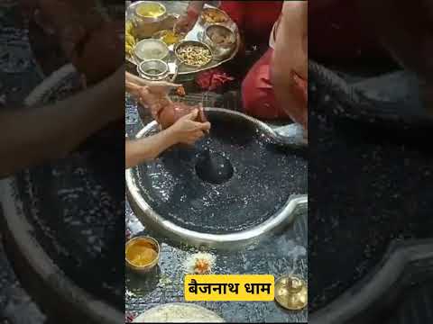 सानन्दमानन्दवने वसन्तमानन्दकन्दं हतपापवृन्दम्। वाराणसीनाथमनाथनाथं श्रीविश्वनाथं शरणं प्रपद्ये ॥