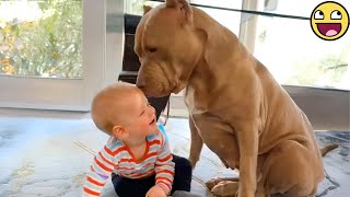 🐶💞 Too Adorable! This Baby & Dog Duo Will Steal Your Heart! ❤️