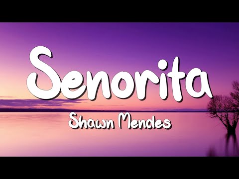 Senorita - Shawn Mendes (Lyrics) || David Kushner , Ava Max... (MixLyrics)