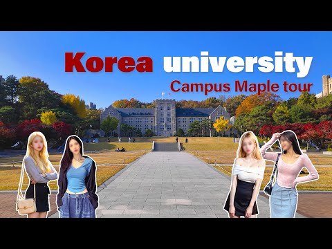 🍁🍂 고려대 캠퍼스 가을 단풍 투어 | Korea University Maple Tour | 4k HDR | KOREA College