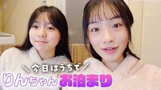 ひまーるのお泊まりルーティン♪りんちゃんがうちに泊まりに来た日の過ごし方♪