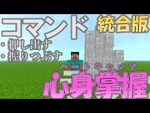 【マイクラ】コマンドでラルゥの術式「心身掌握（ハートキャッチ）」を作って見た！！