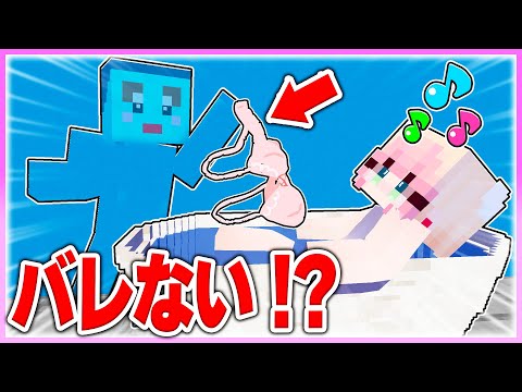 🌈ブロックに擬態して女の子の下着を盗む！【まいくら / マインクラフト】