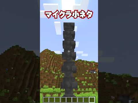 マイクラの秘密6🤫