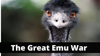 The Great Emu War