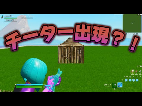 とうとう今シーズンにもチーターが！！！？？【フォートナイト/Fortnite】