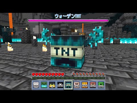 全てのモブがTNTになった世界でサバイバル！？【マインクラフト】