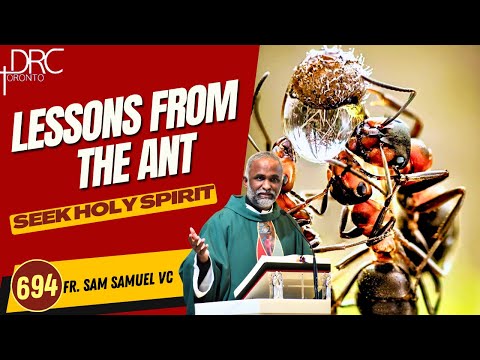 Day 694: Lessons From the Ant | Seek Holy Spirit (Fr. Sam Samuel VC)