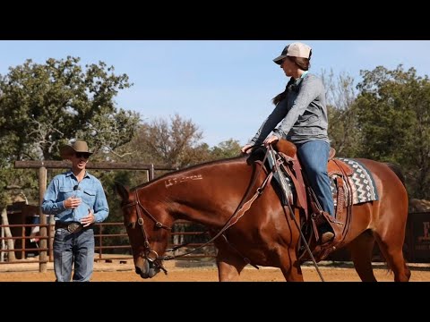 Formerly Wild Mustang working on Flying lead change!