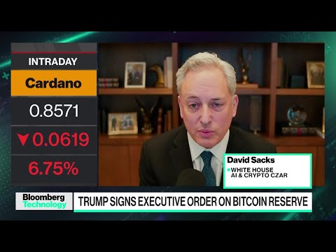 David Sacks on Bitcoin Reserve, Auditing Crypto, AI