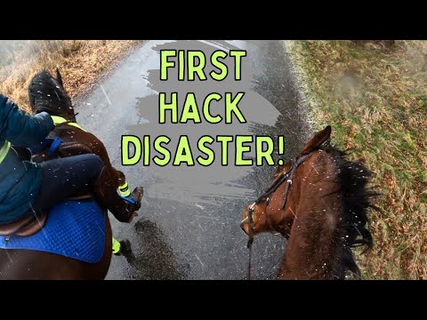 ONE MONTH WITH NEW HORSE! Disaster First Hack!!