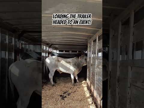 Behind the scenes loading the trailer to head to an event!