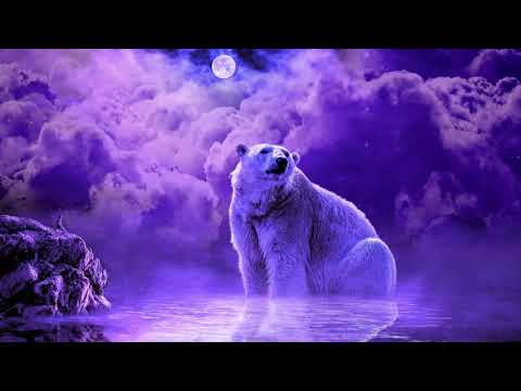 Deep Sleep Music 528Hz | Sleeping Meditation | Positive Energy Sleep | Miracle Healing Energy