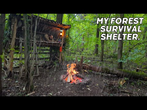 Bushcraft camping. Building a shelter for survival in the wild. Rescue from rain and wild animals.