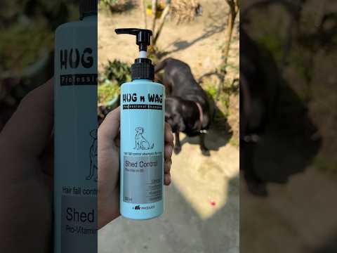 Hug n Wag Dog shampoo | How to bath dog | how do to wash dog