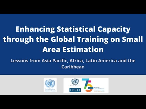 Enhancing Statistical Capacity through the Global Training on Small Area Estimation