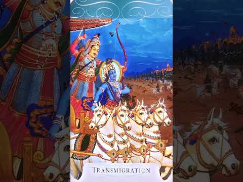 The Gita - Transmigration - Meditation #thegita #meditation #shorts #shortsvideo #sacredwords