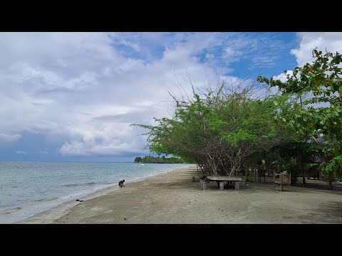 Drive, Dine and Dive 102 (Aroma Beach Palawan) #Palawan #islandlife #Beach #Foods  #Music