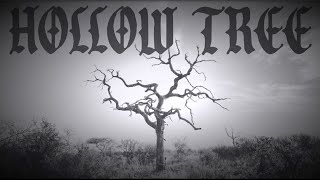 Light the Way - Hollow Tree (Official Lyric Video)