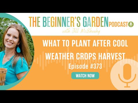 What to Plant After Cool Weather Crops Harvest