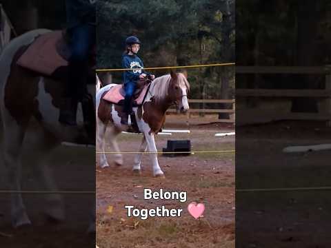 You and me 😊 #horses #youandme #equestrian #love #pony #drafthorses #music