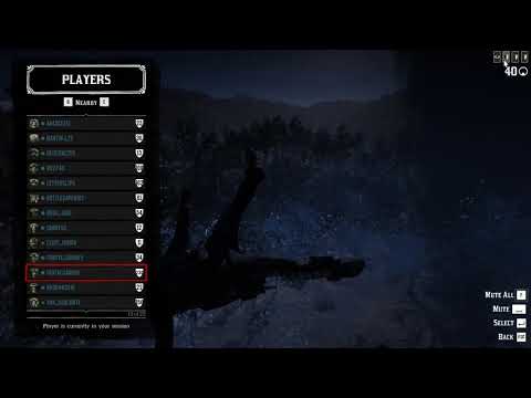 Red Dead 2 Online (PC) Cheaters are ruining the game. (Extended cut)