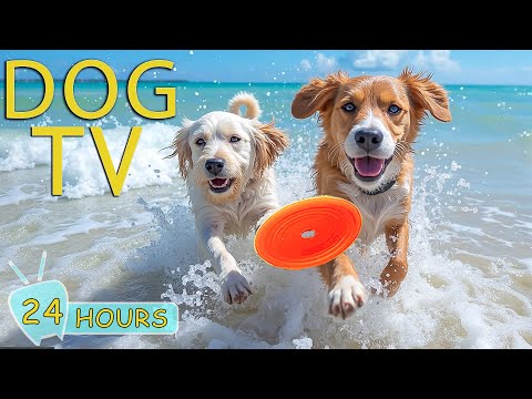 DOG TV: Video Entertain Infinite for Dogs While Home Alone - Best Music Anti-Anxiety for Dogs