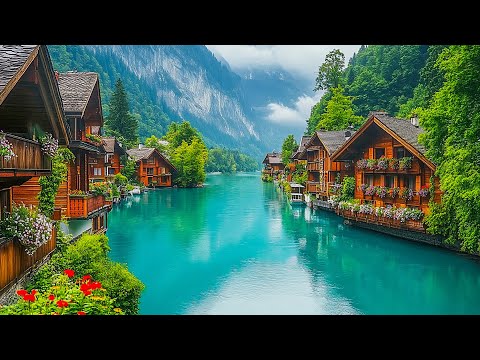 Beautiful Relaxing Music - Stop Overthinking, Stress Relief Music, Sleep Music, Calming Music #118