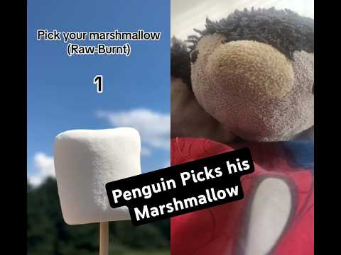 Penguin Picks his Marshmallow #youtubeshorts #shorts #shortsvideo