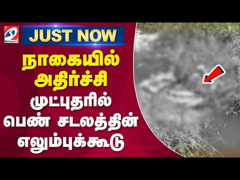 நாகையில் அதிர்ச்சி - முட்புதரில் பெண் சடலத்தின் எலும்புக்கூடு