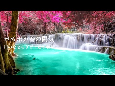 【ASMR ・自然音】川のせせらぎと鳥のさえずり Nature Sounds｜勉強・作業用BGM・｜川の音・リラックス