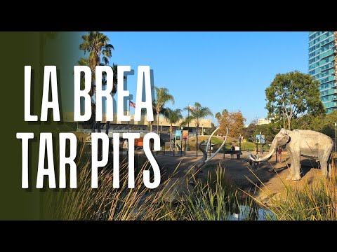 A visit to the LA Brea Tar Pits | Hancock Park | Los Angeles