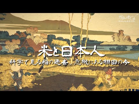 米と日本人 科学で見る稲の過去、危機にある棚田の今|ガリレオX第243回