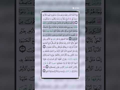 القران الكريم بصوت روعه مشاالله #اكسبلور #القرآن_الكريم #duet #لايك #تيك_توك