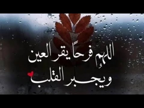 اللهم فرحا يقر العين ويجبر القلب 🤲مساءوو 🌷🌹