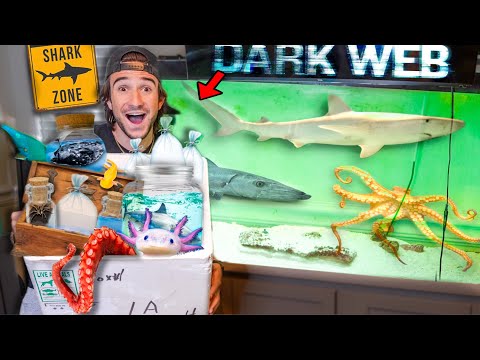 BUYING ALL The CREEPY Fish Off The Web...