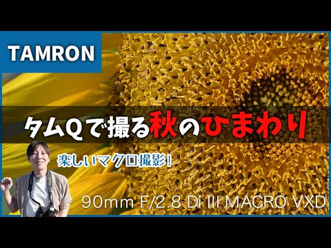 【マクロ】タムQで撮る秋のヒマワリ！【タムロン】TAMRON 90mm F/2.8 Di III MACRO VXD